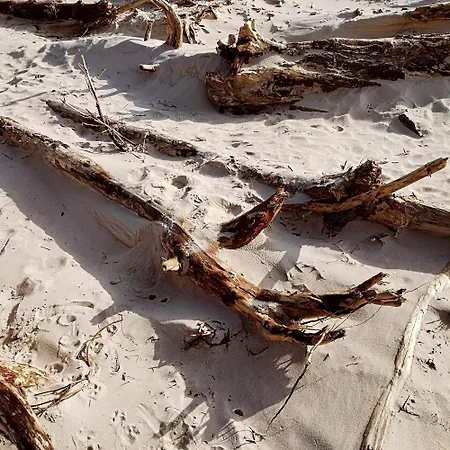 Apartment Przy Lesie - U Piotrusia *