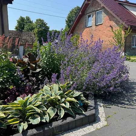 Przy Lesie - U Piotrusia *