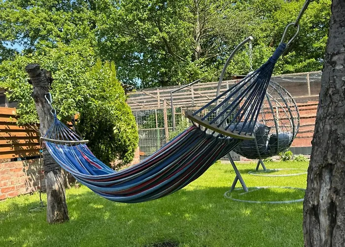 Przy Lesie - U Piotrusia Daire Zarnowska