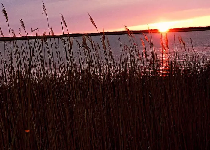 Przy Lesie - U Piotrusia Daire