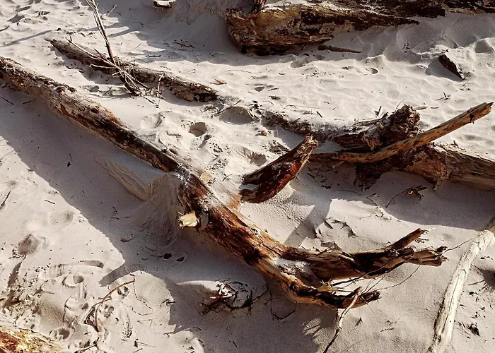 Daire Przy Lesie - U Piotrusia *