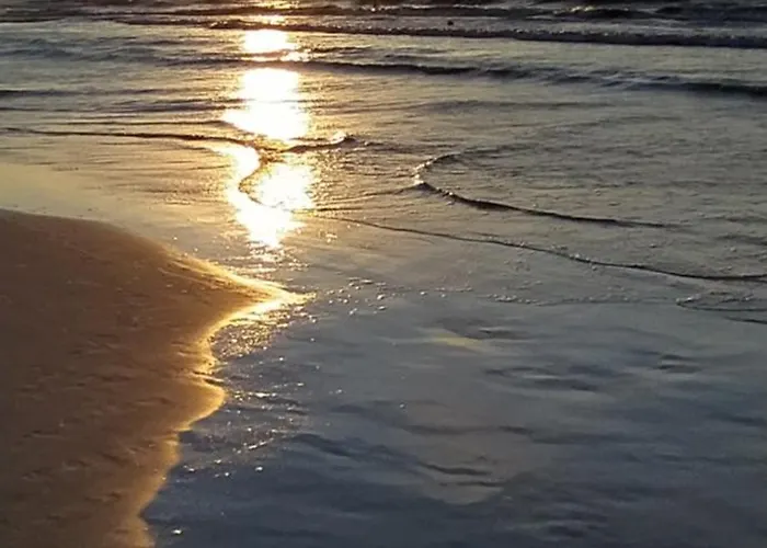 Przy Lesie - U Piotrusia