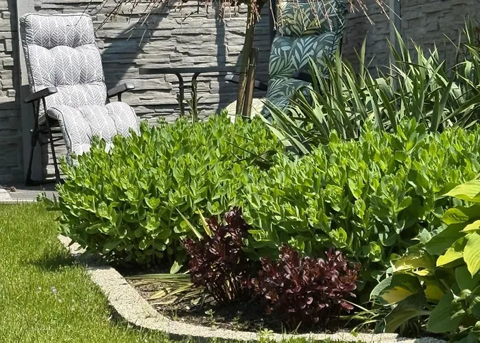 Przy Lesie - U Piotrusia * Zarnowska