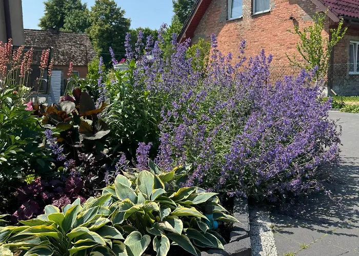 Przy Lesie - U Piotrusia *